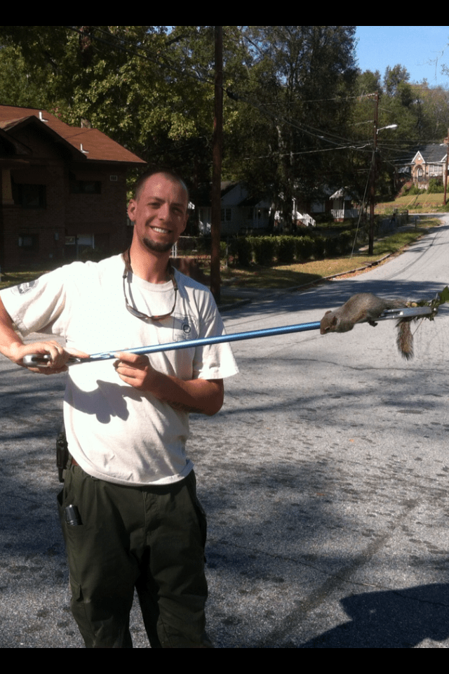 a tech from Jarrod's Pest Control shows off a squirrel he captured with a catch pole