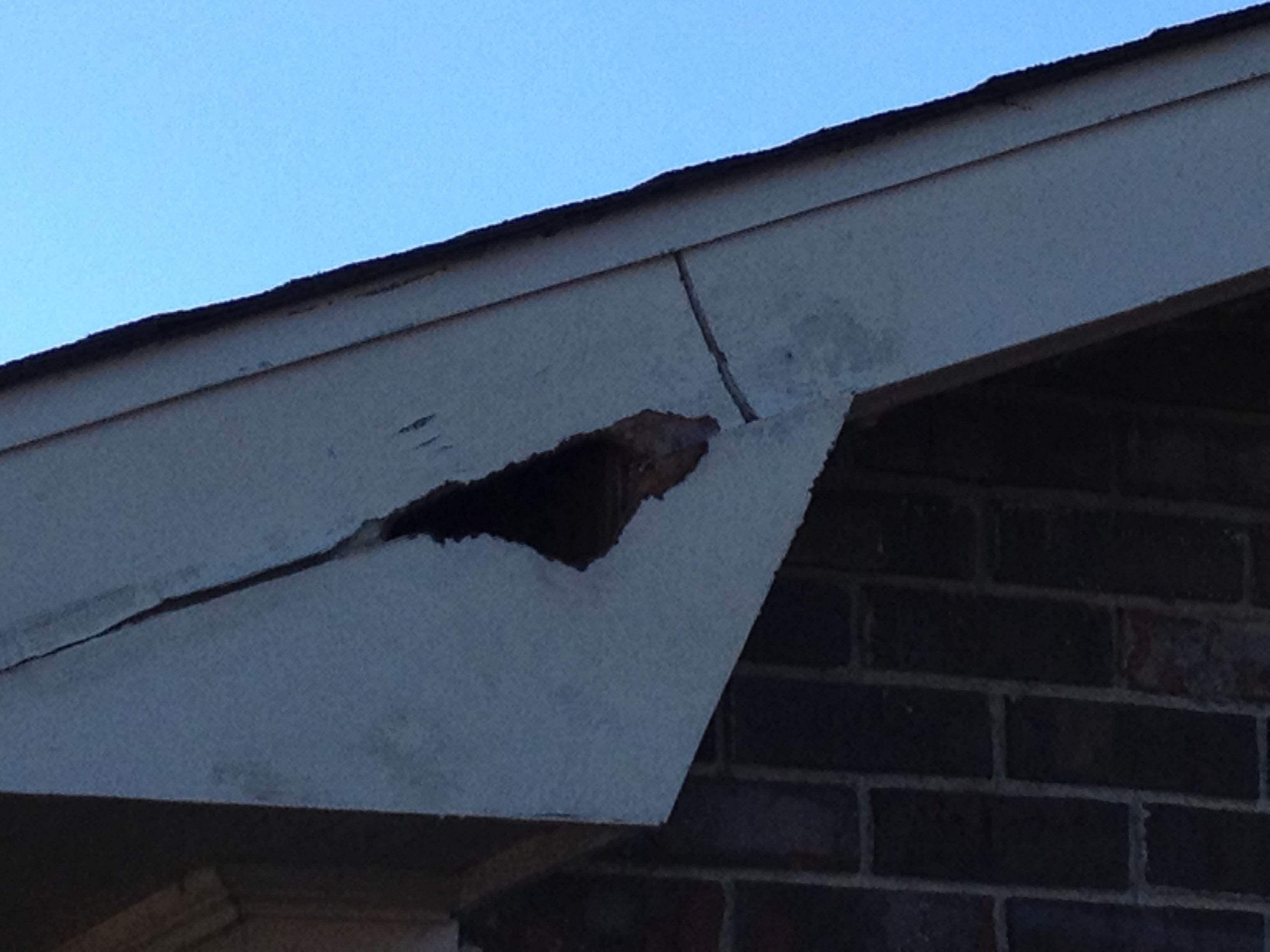 A sizable hole is shown where squirrels were able to chew a large hole in the roof trim of a home.