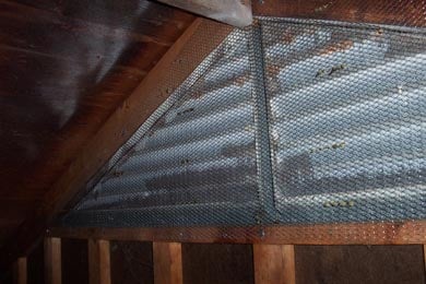 A gable vent that had allowed bats to enter a home is screened from the inside to prevent them from being able to get back in.