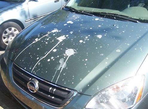 The front end of a car with bird droppings covering the hood.