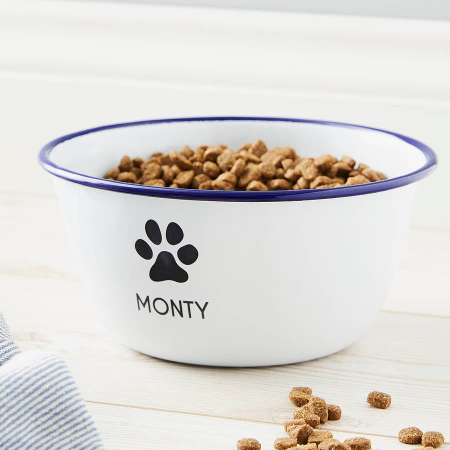 A white dog bowl with a paw print on it above the name, "Monty"